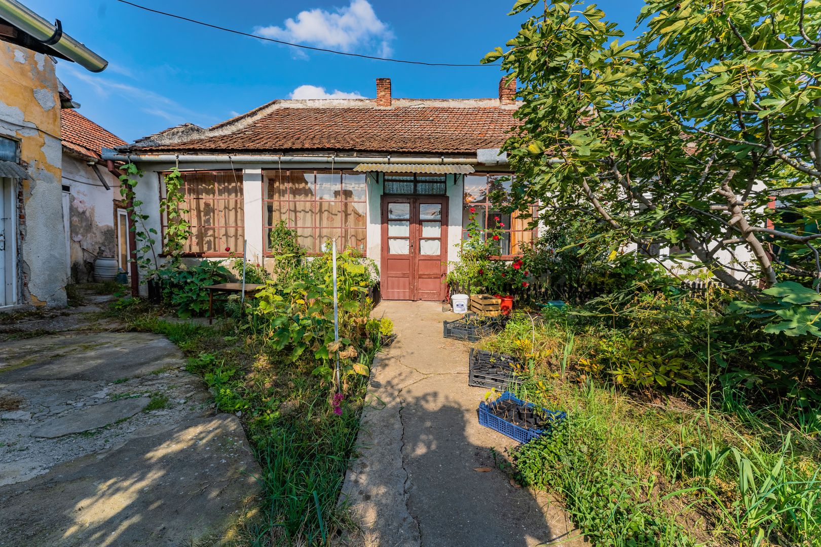 Apartament cu 3 camere Pârneava - Poză 1