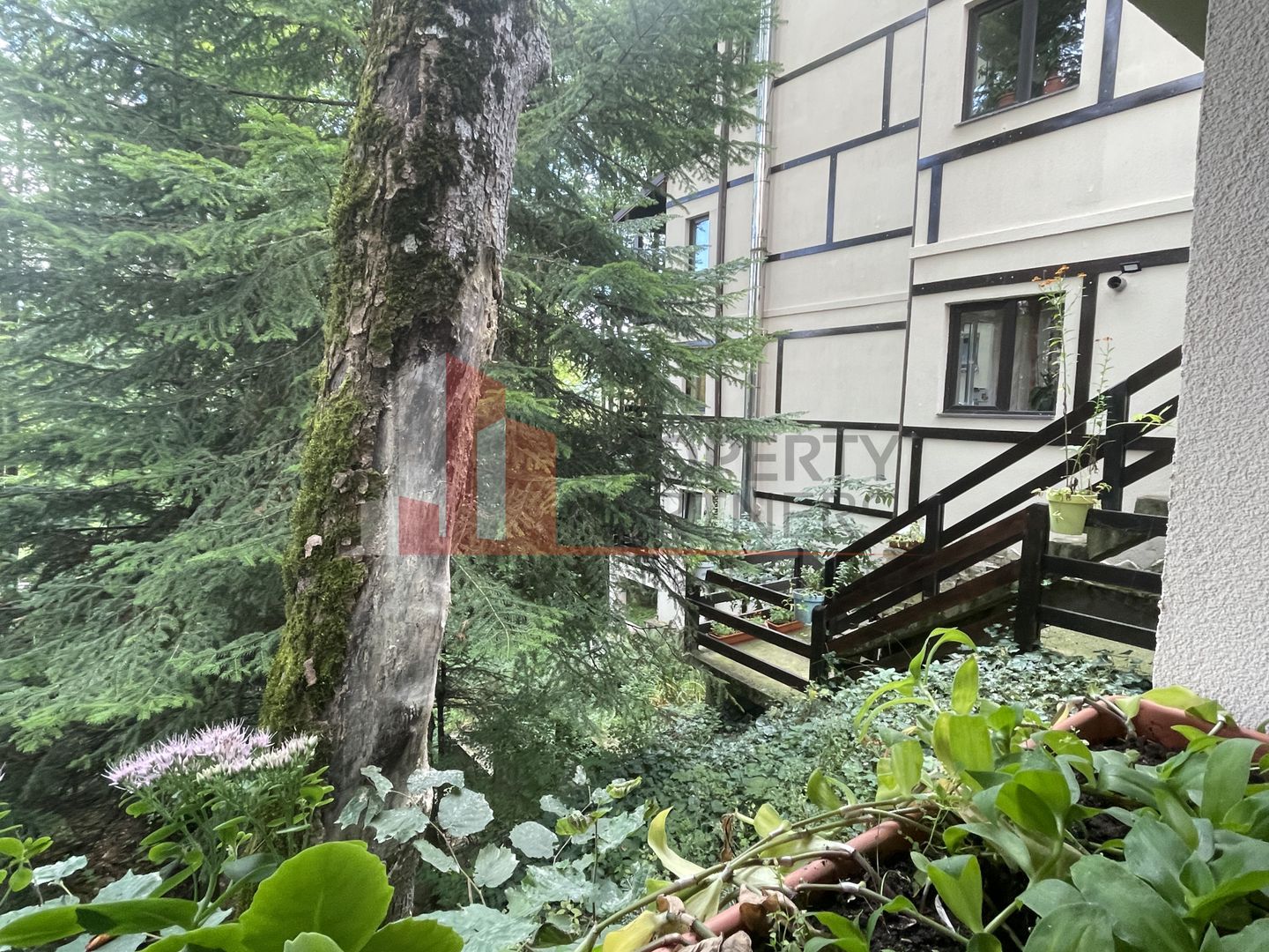 Pensiune Sinaia Langa Castelul Peles | Investitie sigura. - Poză 14