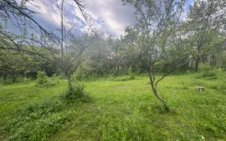 TEREN INTRAVILAN 7018 MP CAMPULUNG - Poză 19