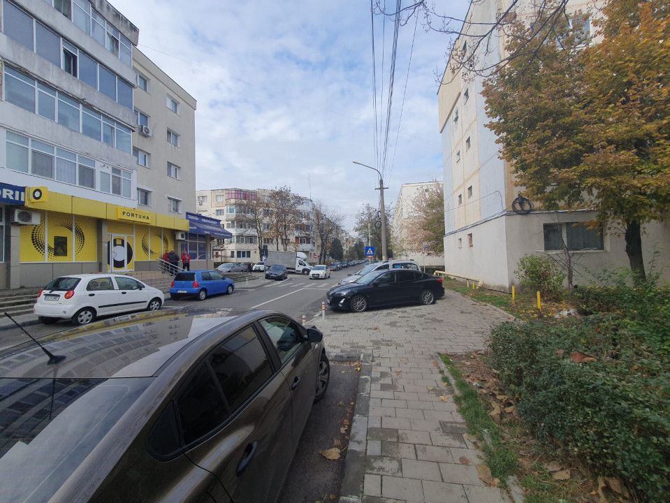 Inchiriere spatiu comercial, Banatului - Poză 11