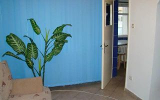 Nicolae Grigorescu - Poză 5