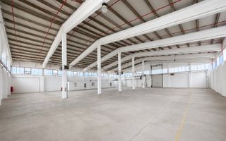 Hala industrială, Sanicolau Mic, suprafata 1.354 mp - Poză 4
