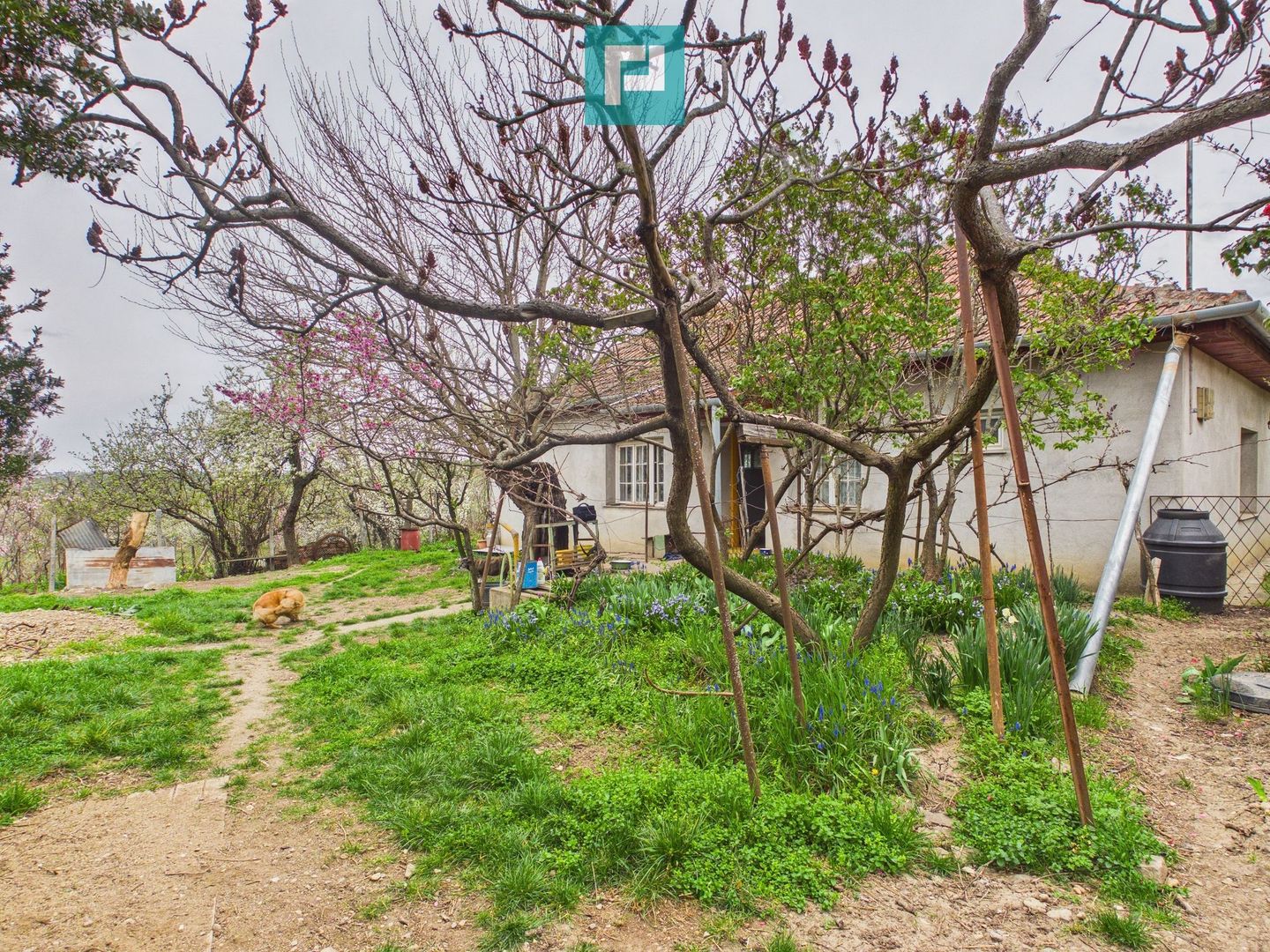 Ieftin - Casă cu teren 842mp, zona Dealuri, Oradea - Poză 4