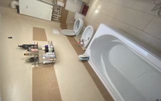 Apartament 2 camere, mobilat, zona Gării Iași - colegă de apartament - Poză 5