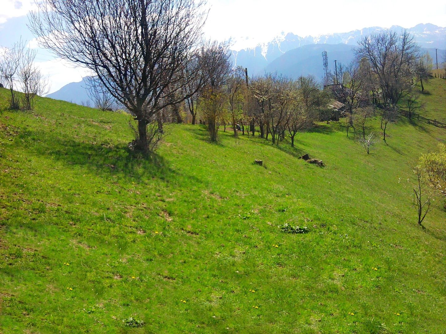 teren intravilan in zona Magura Bran - Poză 26