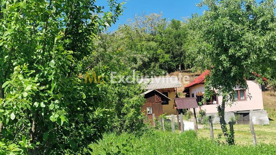 Proprietate în Comuna Botești, Județul Argeș – Zonă Pitorească și Liniștită ! - Poză 3