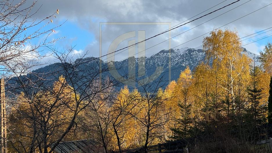 Intravilan 1000 mp | Sohodol-Priveliște panoramică către munți Bucegi - Poză 3