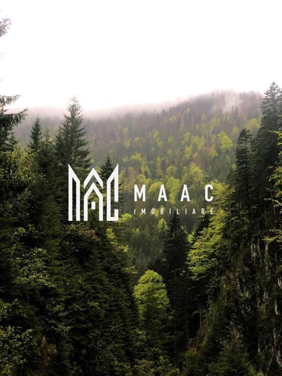 Pensiune Turistica 360MPU | Porumbacu de Sus | - Poză 22