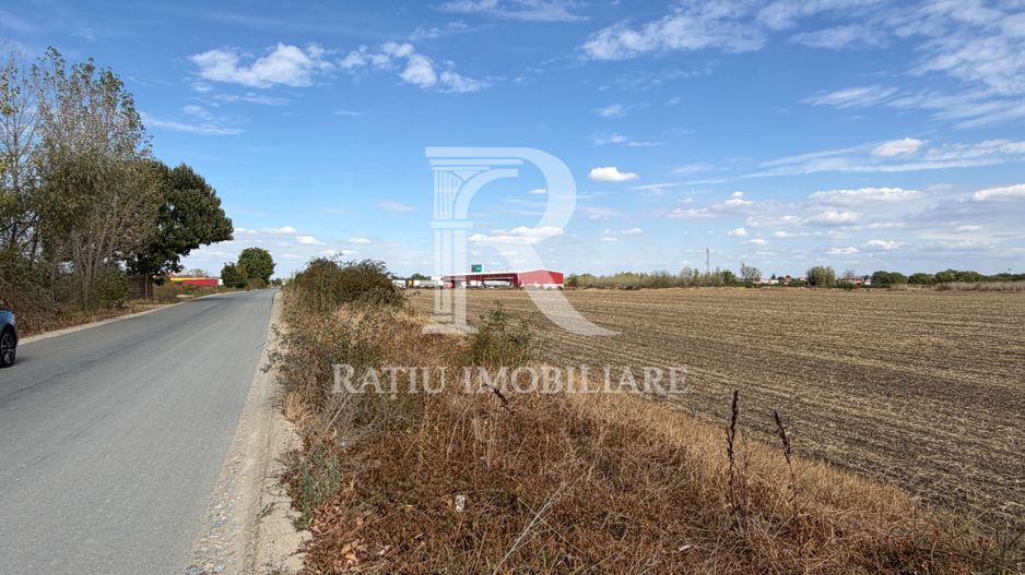 TEREN INTRAVILAN 4.750 MP | BORȘ | OPORTUNITATE DE INVESTIȚIE - Poză 2