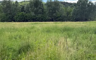 Teren plat-intravilan -3800 mp, cu pădurice și ieșire la râu! - Poză 26