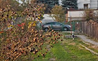 Casa 127mp mobilata/utilata+ anexa+garaj+beci+teren intravilan 1233 mp - Poză 29