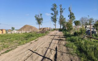 🌳 Teren Intravilan iesire Vorovești - 500 mp - 20.000 Euro 🏡 - Poză 5
