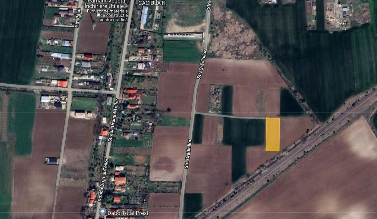 Super oferta! 1500 mp intravilan Caciulati, acces rapid A3 - Poză 1