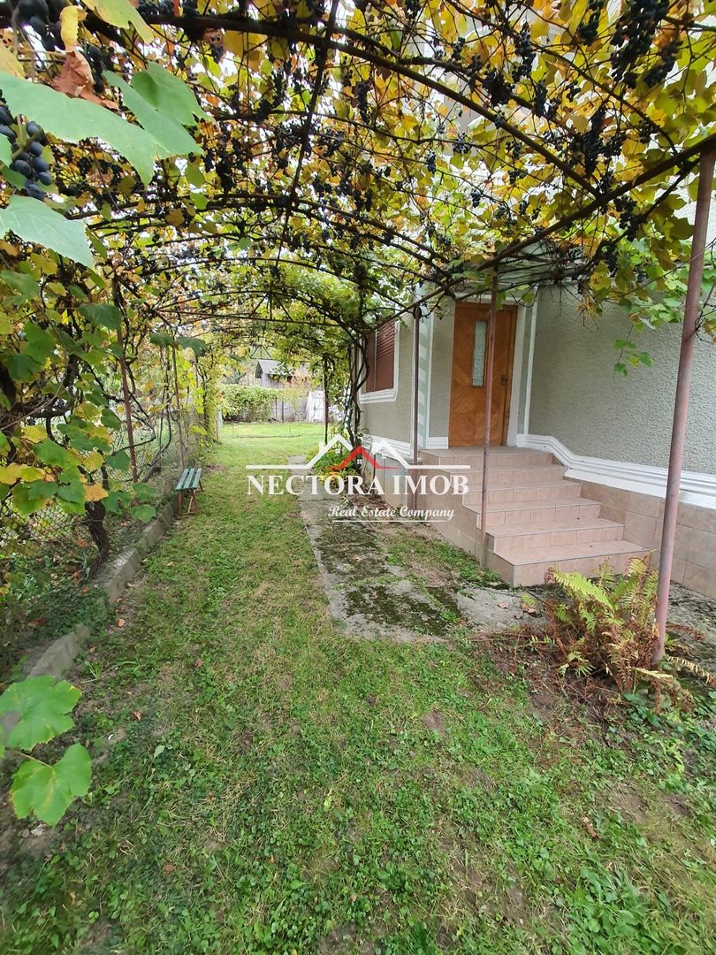 NECTORA IMOB Exclusivitate-Casa cu etaj tip Pensiune, 2300 mp, Soimi - Poză 6