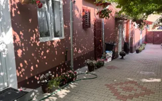 Casa Individuala | 150MPU | 494MP Teren | Sura Mare - Poză 18