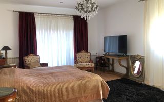 Vila deosebita 11 camere Erou Iancu Nicolae - Poză 9