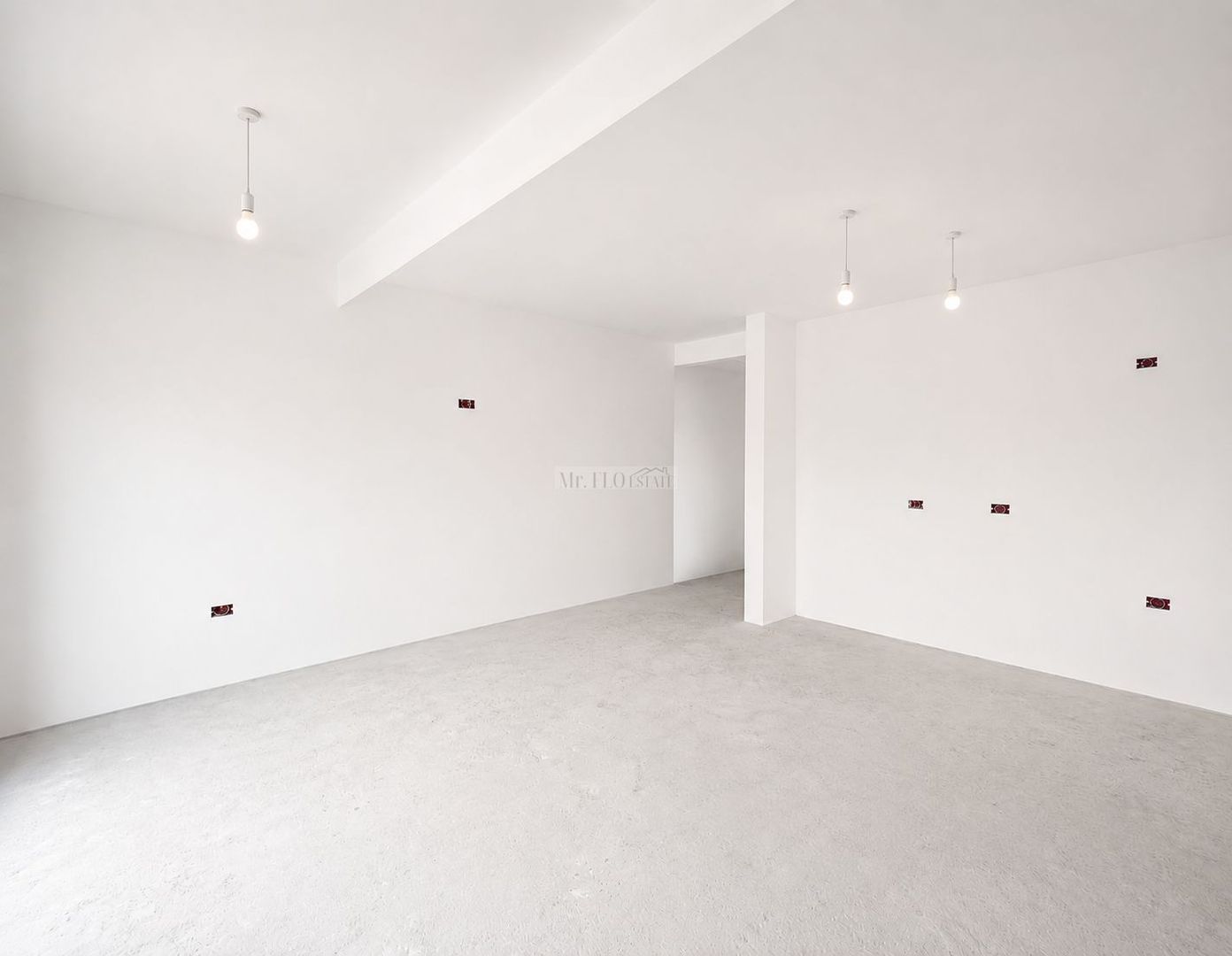 Duplex premium -  despartit camera tehnica Mosnita Noua Drumul Boilor - Poză 4