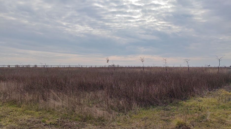 Teren (livada) destinatii multiple, imprejmuit, zona super - Poză 3