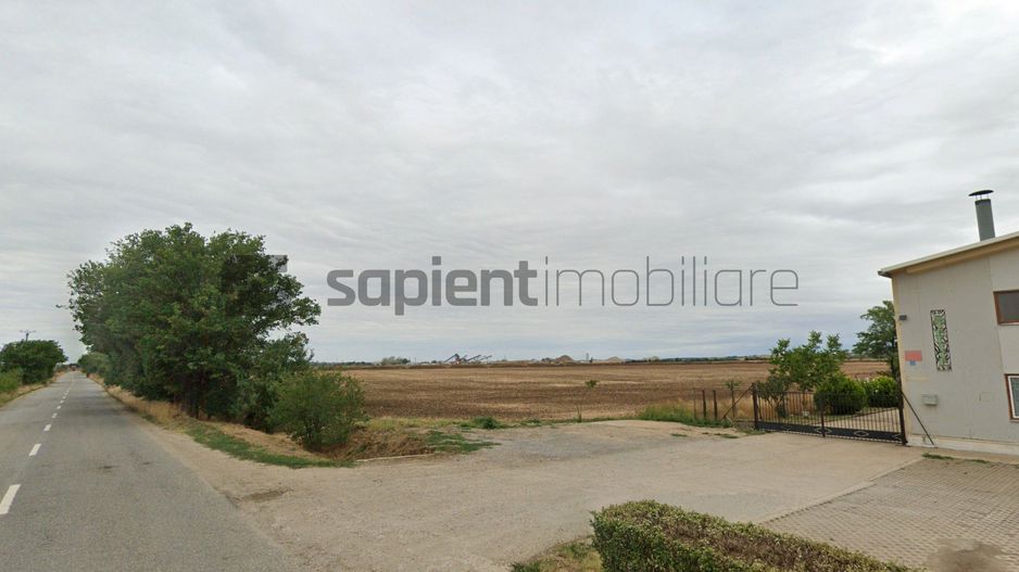 Sapient | Teren pentru dezvoltare industrială / logistică Oradea - Poză 4