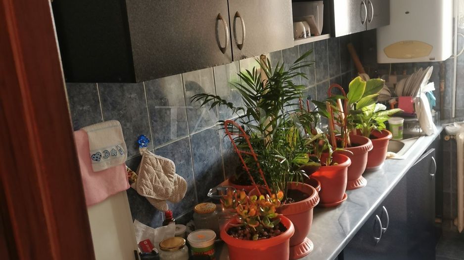 Apartament decomandat cu 3 camere – parter, zona Flora, Mănăștur. - Poză 3