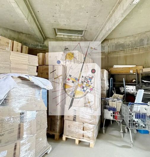 Acces Facil - Poză 23