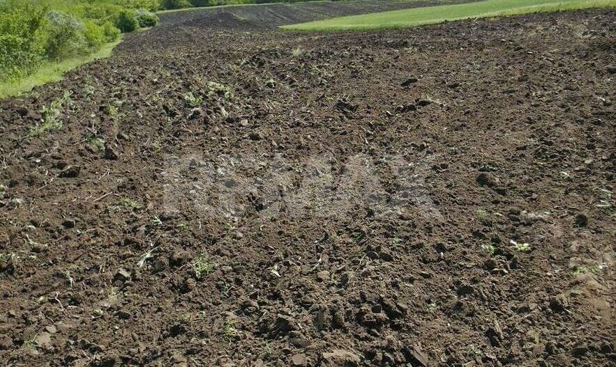 De vânzare – Teren agricol 40 ari, Cimișlia - Poză 1