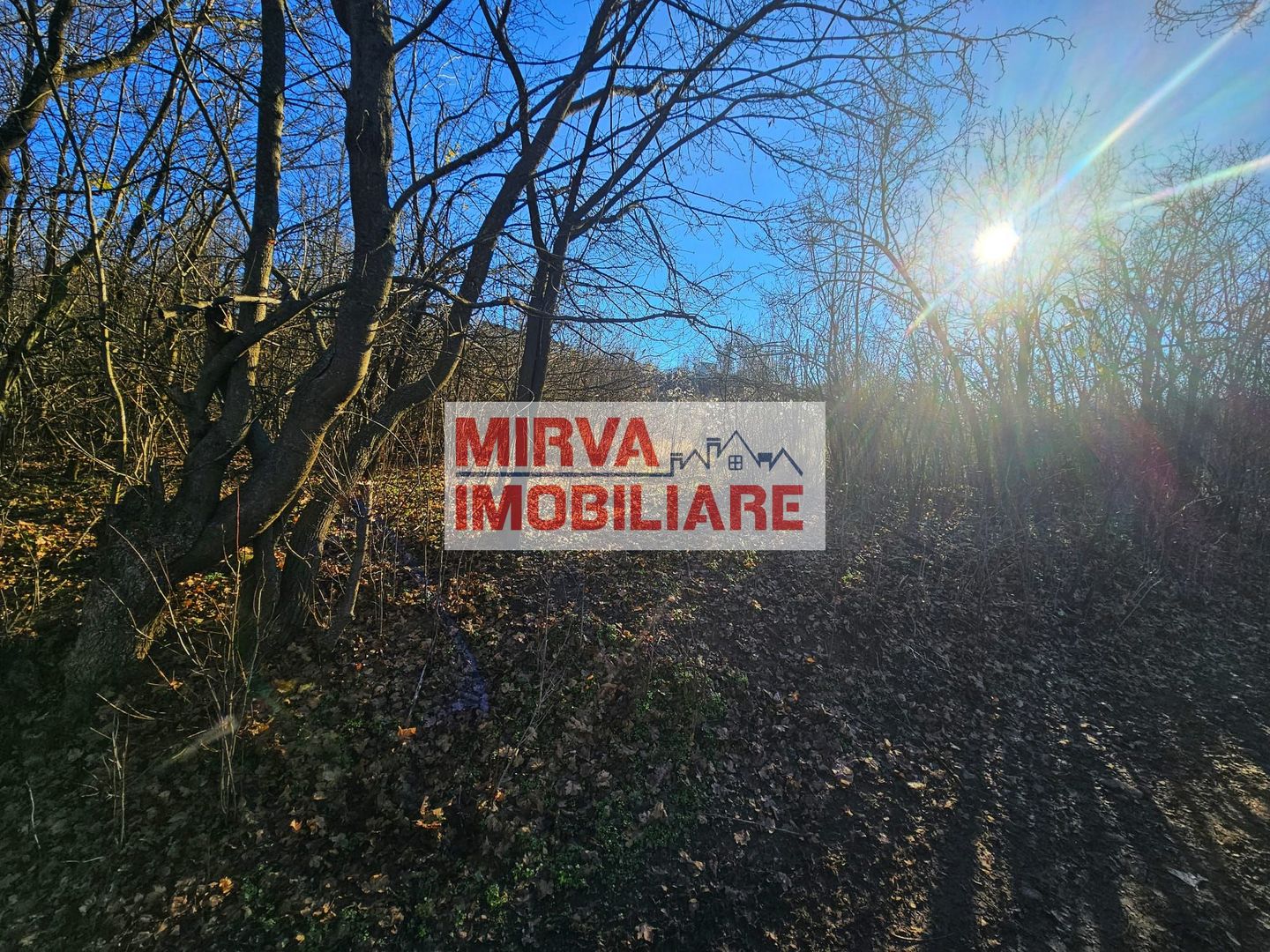 Teren intravilan 1.000 mp – Seciu, 2 deschideri, Priveliște panoramica - Poză 17