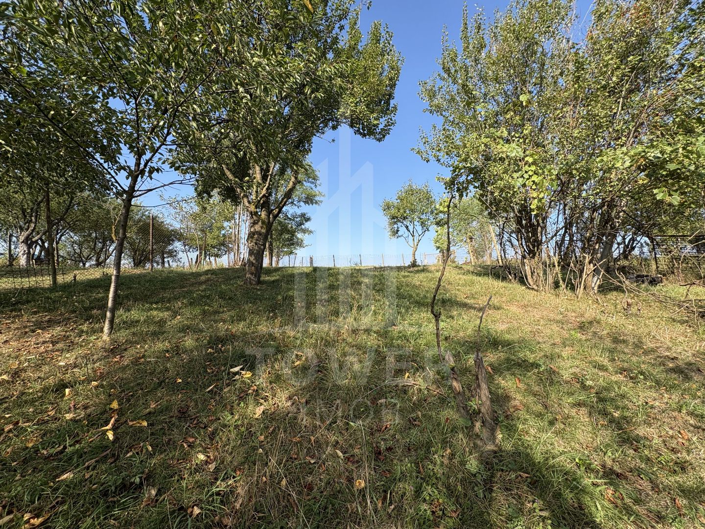 Casă cu teren generos în Șelimbăr – locație liniștită, ideală pentru familie - Poză 11