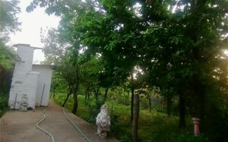 Vila 9 camere***gradina cu pomi fructiferi//1085 mp teren***Dragomiresti-Deal - Poză 14