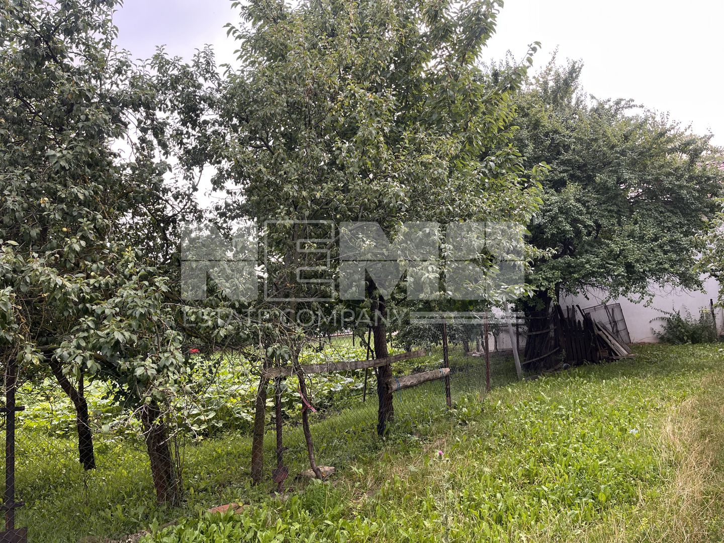 Casă la Țară cu Livadă 20 Ari | Rotopanesti/Suceava | 60.000Euro - Poză 20