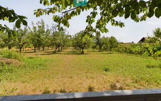 Casă cu livadă de pomi în Dorobanți - Poză 18