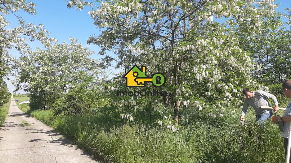 Teren de vânzare în Lugoj, judet Timis - Poză 3