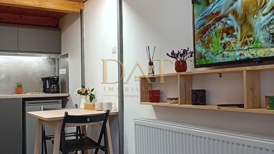 Garsonieră ultracentrală | str. Regele Ferdinand | Investitie | Airbnb - Poză 3