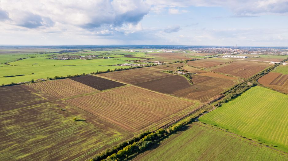Teren de 50000 mp în Arad - Poză 3