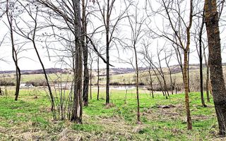 Terenuri extravilane de vânzare – Vizma & Crivobara, comuna Secaș, jud. Timiș - Poză 7