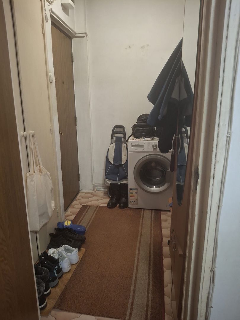 Vanzare apartament 2 camere Titan -Camil Ressu, Park Lake - Poză 7