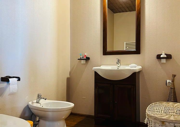Vila remarcabila+casa boiereasca,in pretios areal de 2.100 mp, Santana de Mures - Poză 14