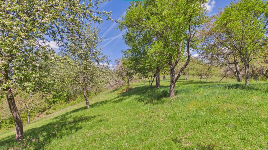 Proprietate rară cu 24.270 mp, în Măgulicea, Arad! - Poză 27