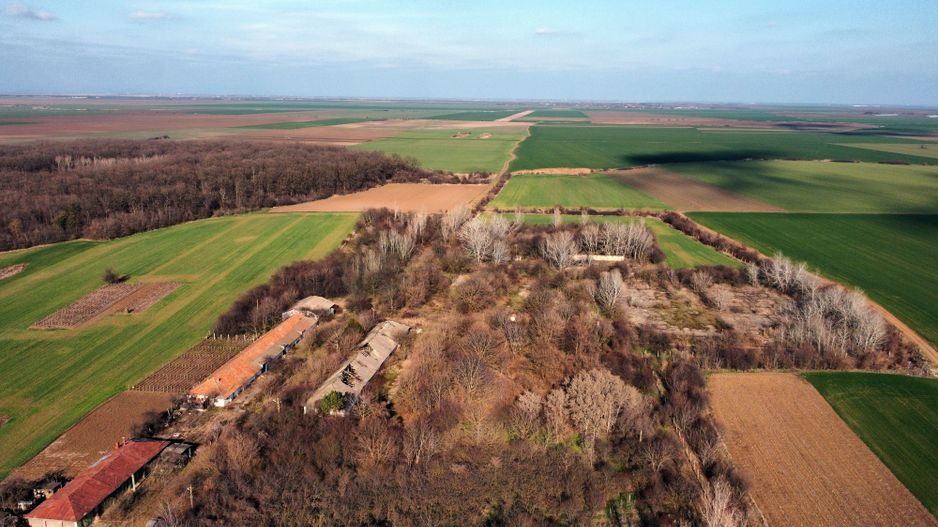 Ferma si livada de meri in judetul Ilfov - Poză 21