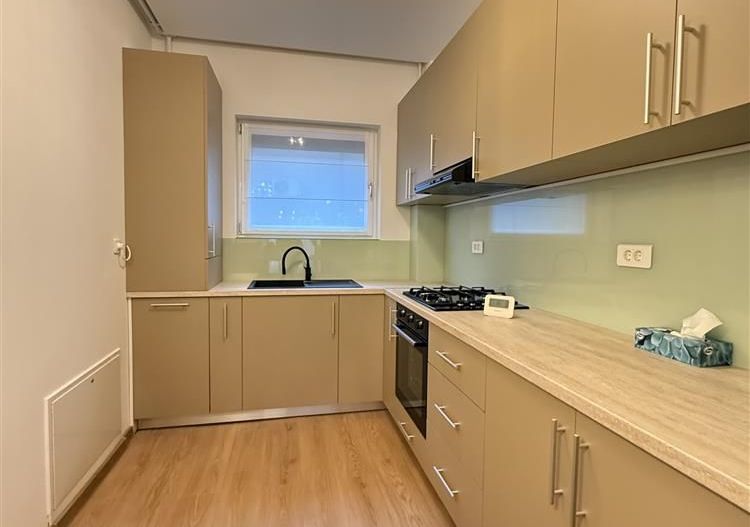 Inchiriere apartament 3 camere Floreasca Residence - Pescariu Bucuresti - Poză 11