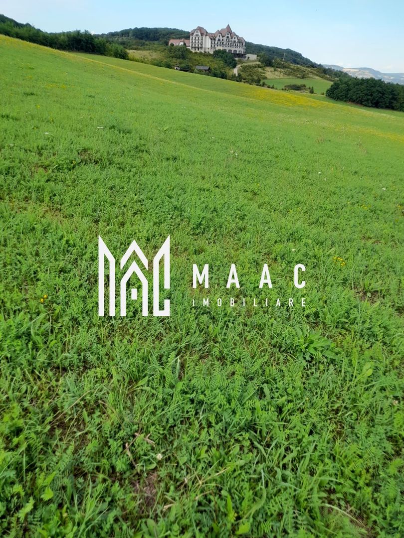 Teren | 1.500 MPU | Bradu - Poză 3