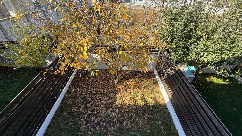 Vila 4 camere Avangarde Forest 1 - Poză 37