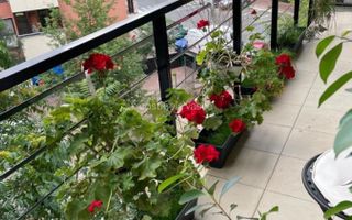 Apartament 2 camere zona Timpuri Noi - Poză 16