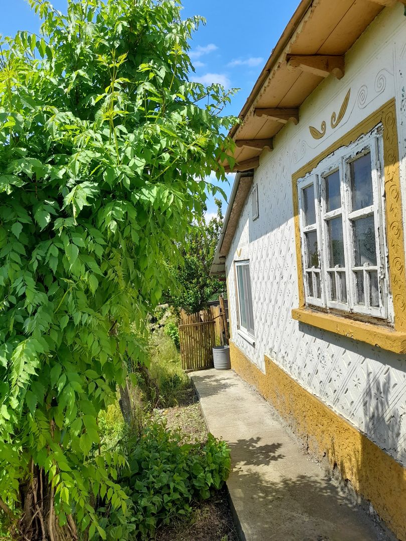 Casă cu teren de 1.470 mp de vânzare – Fântânele, Scânteiești - Poză 35