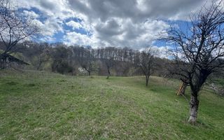 TEREN INTRAVILAN 4365 MP POENARII DE MUȘCEL  JUDEȚUL ARGES - Poză 8