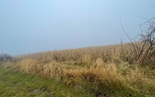 TEREN EXTRAVILAN | DOUA PARCELE 2.84 HA| IDEAL AGRICOL | DARMANESTI - Poză 1