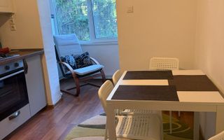 centrala proprie, proaspat renovat-Aradului - Poză 7