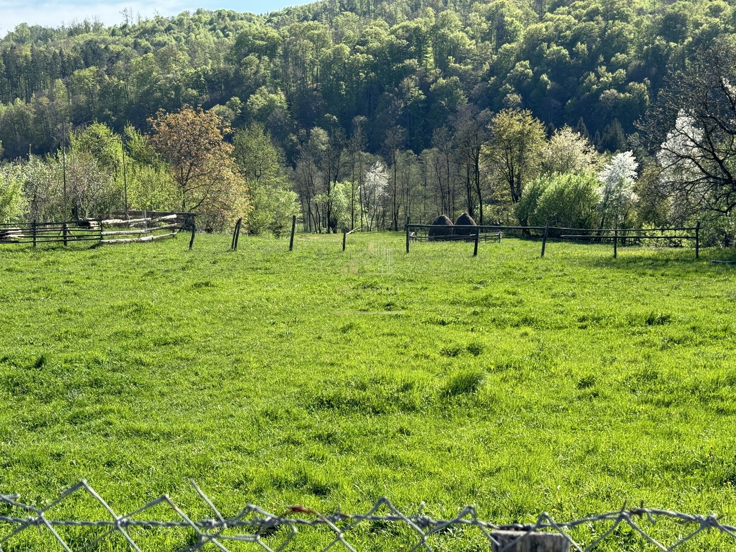 TEREN INTRAVILAN 2592 MP,  ALBESTI DE MUSCEL, ARGES - Poză 5