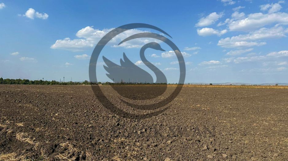 Teren extravilan de vanzare | 9882mp | Berceni - Prahova | Comision 0% - Poză 2