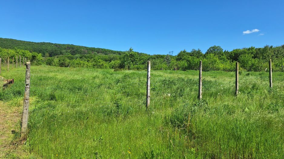 Casa de Vanzare Baiculesti Arges - Poză 15